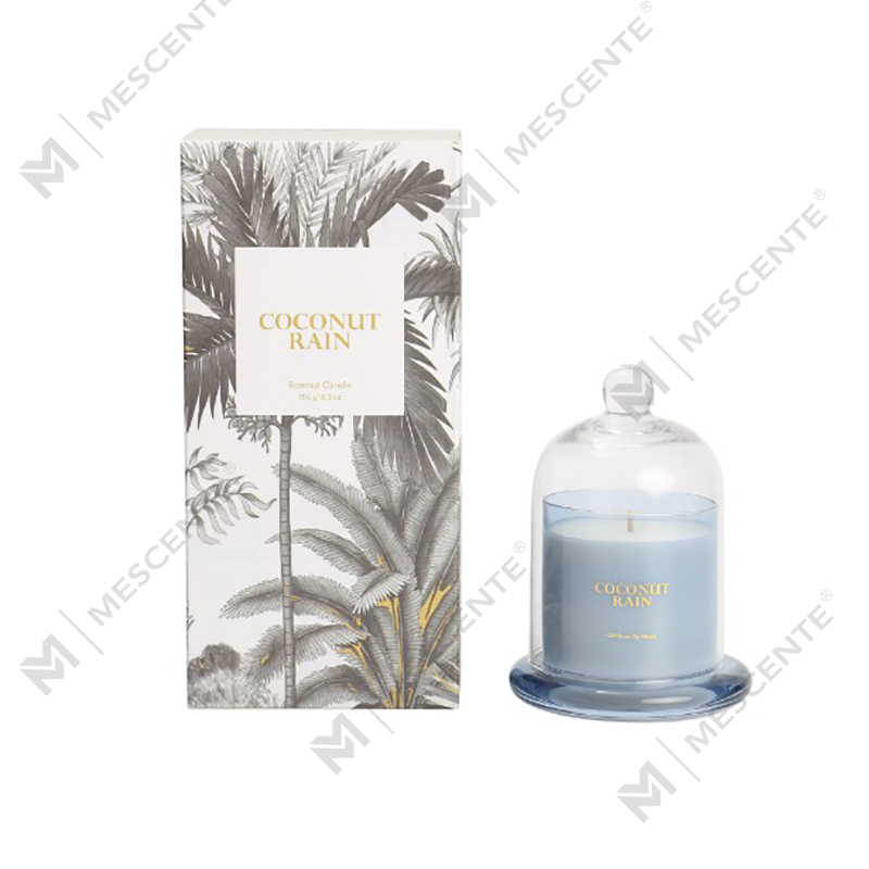 M&Scent โลโก้ที่กำหนดเอง กล่องหรูหรา ขี้ผึ้งธรรมชาติ 100% มินิโฮม เทียนของขวัญ