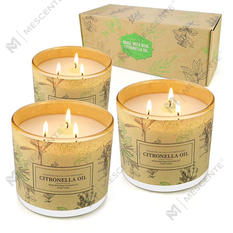 ยาวนาน 3 Wick Jar น้ำมันหอมระเหยตะไคร้หอมน้ำมันเทียนชุดสำหรับ Home Garden Patio ระเบียง