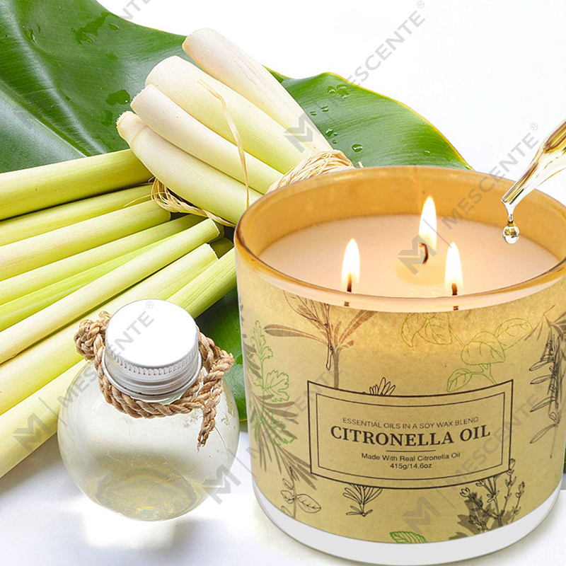 ยาวนาน 3 Wick Jar น้ำมันหอมระเหยตะไคร้หอมน้ำมันเทียนชุดสำหรับ Home Garden Patio ระเบียง